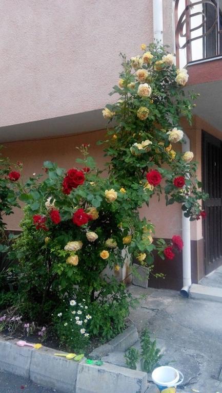Lazur Hotel Ravda Esterno foto
